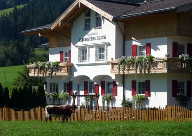 Kuh vor Aparthotel - Natur pur