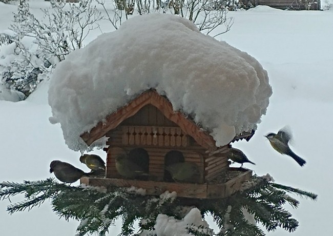 Verschneites Vogelhaus