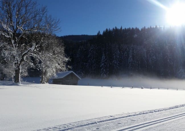 Winterwanderweg mit Loipe