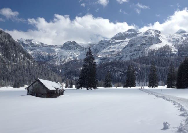 Winterlandschaft mit Blick auf Berge